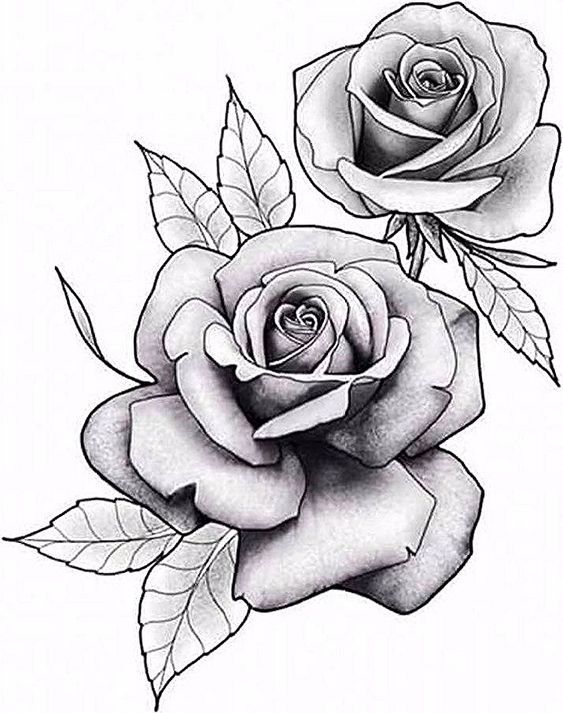 Rose Drawing Tattoo Tattoo Outline Drawing Tattoo Style Drawings Art ...