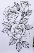 Rose Tattoo Drawing Ideas - Body Tattoo Art